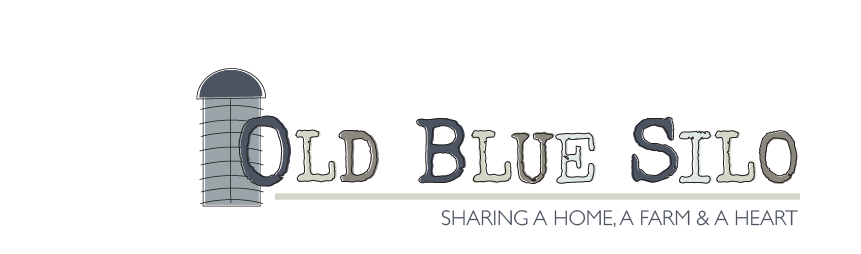Old Blue Silo
